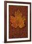 Autumn Leaf On Rust-Den Reader-Framed Photographic Print