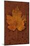 Autumn Leaf On Rust-Den Reader-Mounted Photographic Print