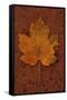 Autumn Leaf On Rust-Den Reader-Framed Stretched Canvas