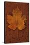 Autumn Leaf On Rust-Den Reader-Stretched Canvas