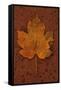 Autumn Leaf On Rust-Den Reader-Framed Stretched Canvas