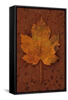 Autumn Leaf On Rust-Den Reader-Framed Stretched Canvas