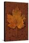 Autumn Leaf On Rust-Den Reader-Stretched Canvas