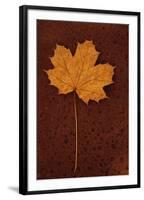 Autumn Leaf On Rust-Den Reader-Framed Premium Photographic Print