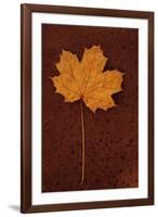 Autumn Leaf On Rust-Den Reader-Framed Photographic Print