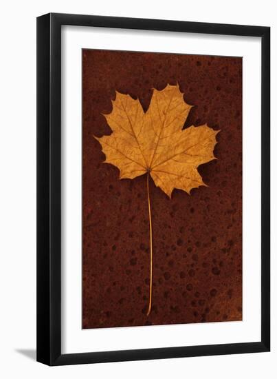 Autumn Leaf On Rust-Den Reader-Framed Photographic Print