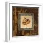 Autumn Leaf Square II-Silvia Vassileva-Framed Art Print