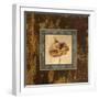 Autumn Leaf Square II-Silvia Vassileva-Framed Art Print