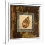 Autumn Leaf Square III-Silvia Vassileva-Framed Art Print