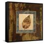 Autumn Leaf Square III-Silvia Vassileva-Framed Stretched Canvas