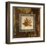 Autumn Leaf Square IV-Silvia Vassileva-Framed Art Print