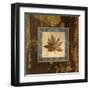 Autumn Leaf Square IV-Silvia Vassileva-Framed Art Print