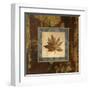 Autumn Leaf Square IV-Silvia Vassileva-Framed Art Print