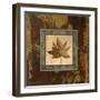 Autumn Leaf Square IV-Silvia Vassileva-Framed Art Print