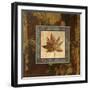 Autumn Leaf Square IV-Silvia Vassileva-Framed Art Print