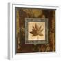 Autumn Leaf Square IV-Silvia Vassileva-Framed Premium Giclee Print