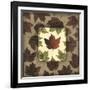 Autumn Leaf Study IV-Renee W. Stramel-Framed Art Print