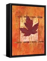 Autumn Leaf-Bee Sturgis-Framed Stretched Canvas