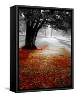 Autumn Leafs-null-Framed Stretched Canvas