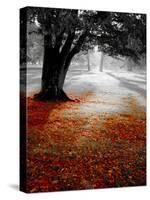 Autumn Leafs-null-Stretched Canvas