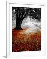 Autumn Leafs-null-Framed Photographic Print