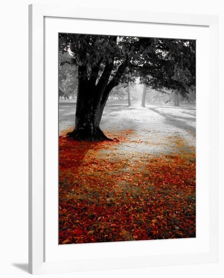 Autumn Leafs-null-Framed Photographic Print