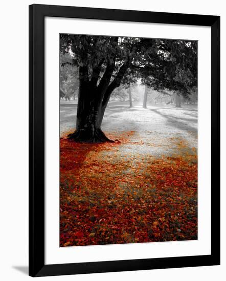 Autumn Leafs-null-Framed Photographic Print