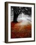 Autumn Leafs-null-Framed Photographic Print