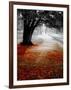 Autumn Leafs-null-Framed Photographic Print