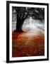 Autumn Leafs-null-Framed Photographic Print