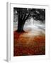 Autumn Leafs-null-Framed Photographic Print