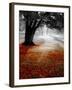 Autumn Leafs-null-Framed Photographic Print