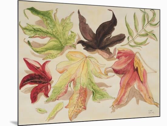 Autumn Leaves, 1993-Carolyn Hubbard-Ford-Mounted Giclee Print