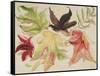 Autumn Leaves, 1993-Carolyn Hubbard-Ford-Framed Stretched Canvas