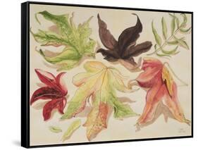 Autumn Leaves, 1993-Carolyn Hubbard-Ford-Framed Stretched Canvas