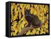 Autumn Leaves, 1994-Ditz-Framed Stretched Canvas