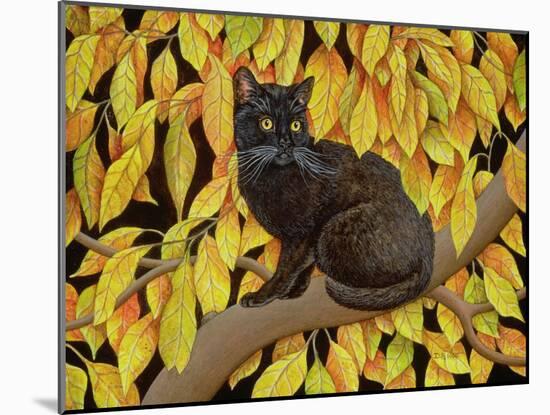 Autumn Leaves, 1994-Ditz-Mounted Giclee Print