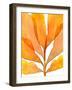 Autumn Leaves 2-THE Studio-Framed Giclee Print