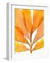 Autumn Leaves 2-THE Studio-Framed Giclee Print