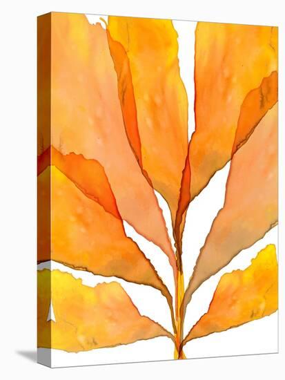 Autumn Leaves 2-THE Studio-Stretched Canvas