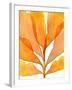 Autumn Leaves 2-THE Studio-Framed Giclee Print