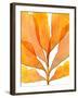 Autumn Leaves 2-THE Studio-Framed Giclee Print