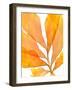 Autumn Leaves 3-THE Studio-Framed Giclee Print