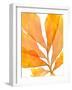 Autumn Leaves 3-THE Studio-Framed Giclee Print