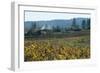 Autumn Leaves after the Harvest at a Vineyard, Mendocino, California, Usa-Natalie Tepper-Framed Photo