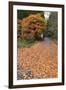 Autumn Leaves Along the Old Nakasendo Highway, Magome, Kiso Valley Nakasendo, Central Honshu, Japan-Stuart Black-Framed Photographic Print