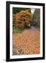 Autumn Leaves Along the Old Nakasendo Highway, Magome, Kiso Valley Nakasendo, Central Honshu, Japan-Stuart Black-Framed Photographic Print