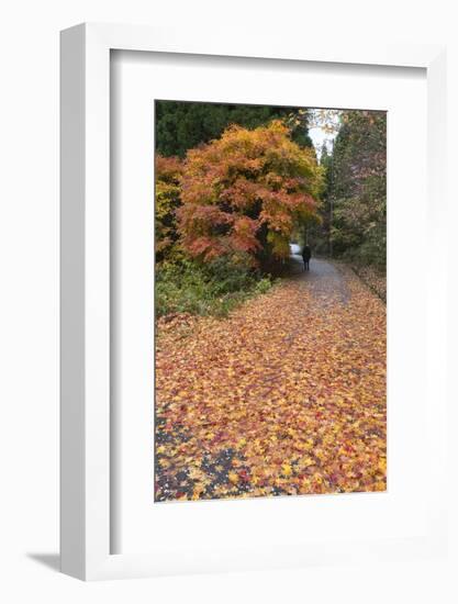 Autumn Leaves Along the Old Nakasendo Highway, Magome, Kiso Valley Nakasendo, Central Honshu, Japan-Stuart Black-Framed Photographic Print