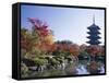 Autumn Leaves and Five-Story Pagoda, Toji Temple (Kyo-O-Gokoku-Ji), Kyoto, Honshu, Japan-null-Framed Stretched Canvas