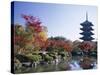 Autumn Leaves and Five-Story Pagoda, Toji Temple (Kyo-O-Gokoku-Ji), Kyoto, Honshu, Japan-null-Stretched Canvas